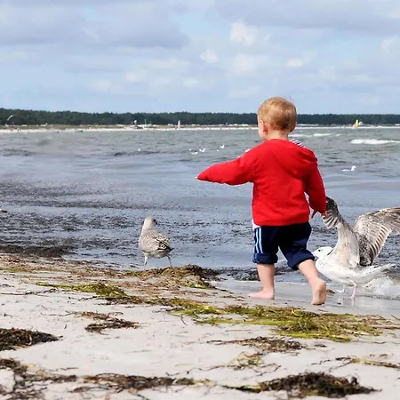 Apartman Modernes - Herzog Barnim *