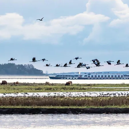 Modernes - Herzog Barnim Apartman *